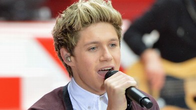 PHOTO: Niall Horan of One Direction performs, Nov. 13, 2012 in New York City.