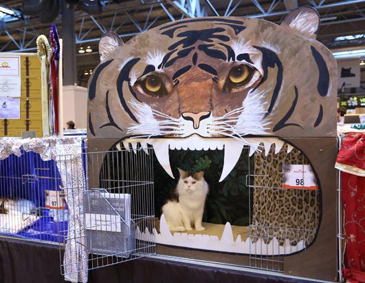 Britain's Supreme Cat Show