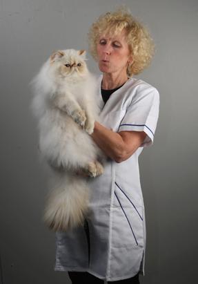 Britain's Supreme Cat Show