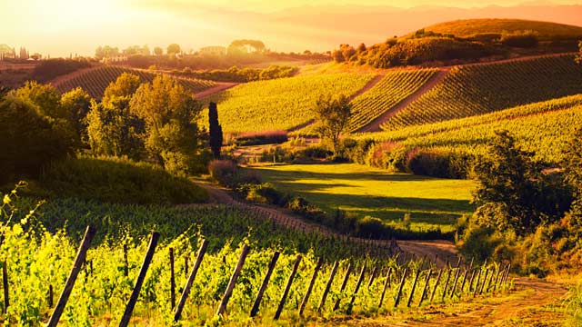 PHOTO: Sunset in Tuscany