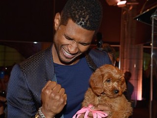Photos: Usher Bids $12K for Puppy