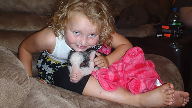 PHOTO: Honey Boo Boo and pet pig