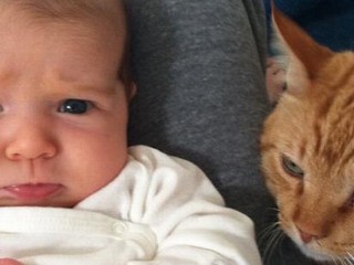 Photos: Hannigan's Baby Girl: Not a Cat Person?