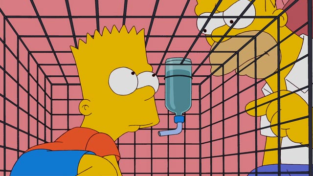 PHOTO: Bart and Homer Simpson