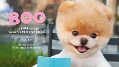 PHOTO: Famous dog BOo has a book out called, 