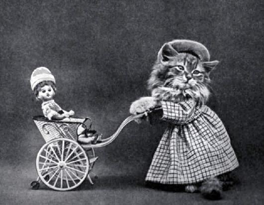 Novelty Cat Images From The Turn of the Century 