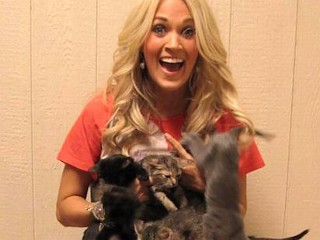 Photos: Carrie Cuddles with Kittens