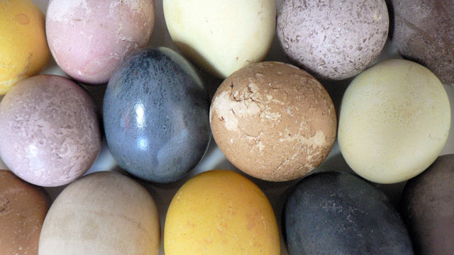 PHOTO: Diane Henderiks' naturally dyed Easter eggs are shown here.