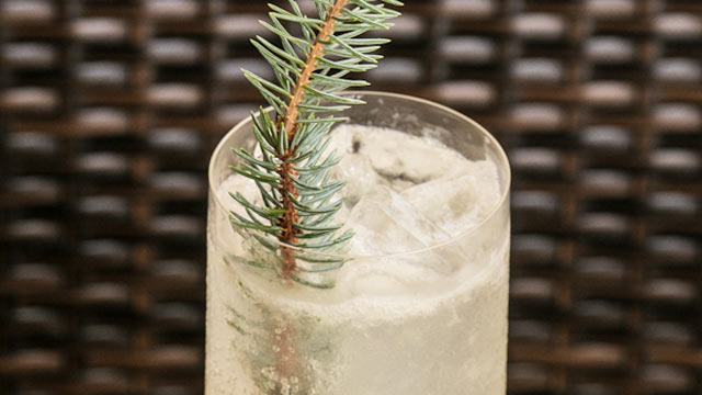 PHOTO: The Grant Grill's douglas collins cocktail is shown here.