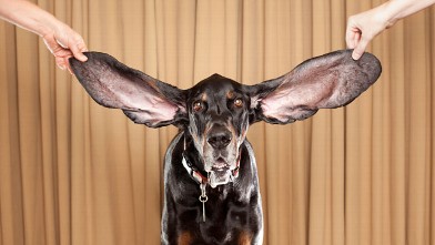 PHOTO: 'Guinness Records' Profiles Wacky Celebs Across the Globe