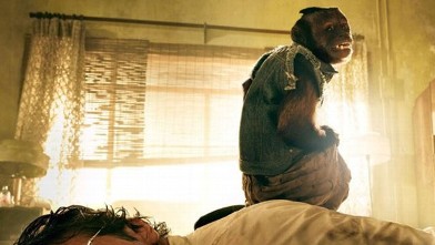 PHOTO: "The Hangover Part II"