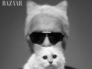 Photos: Karl Lagerfield's Pampered Pet