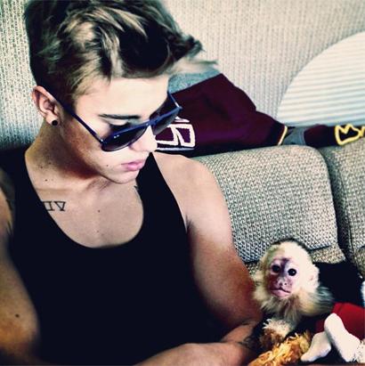 Bieber and His Pet Monkey