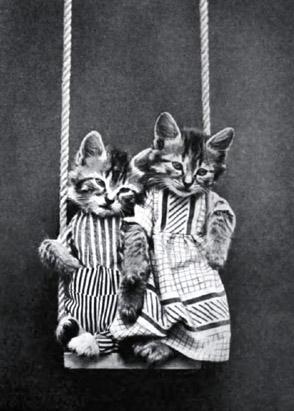 Novelty Cat Images From The Turn of the Century 