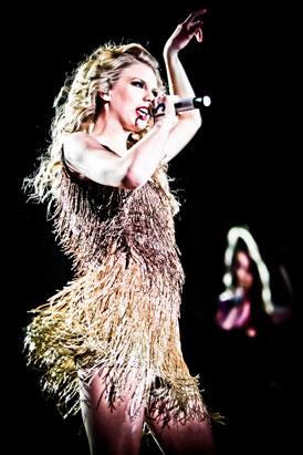 Taylor Swift's Eye-Popping Tour Dresses