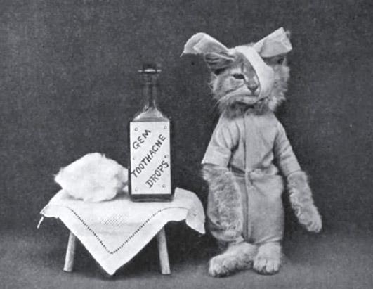 Novelty Cat Images From The Turn of the Century 