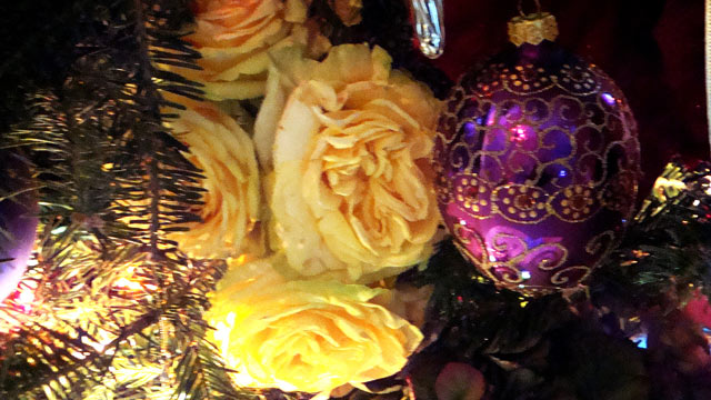 PHOTO: Lisa Riso's Christmas tree decorations are shown.