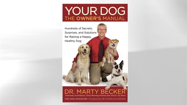 PHOTO: Dr. Marty Beckers "Your Dog" is shown here.