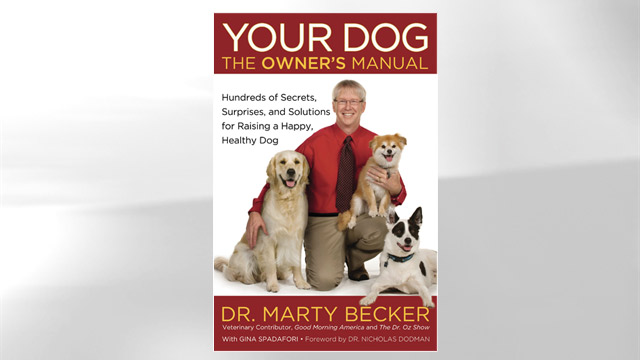 PHOTO: Dr. Marty Beckers "Your Dog" is shown here.