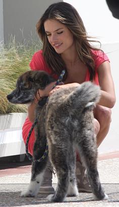 Alessandra Plays With Puppy