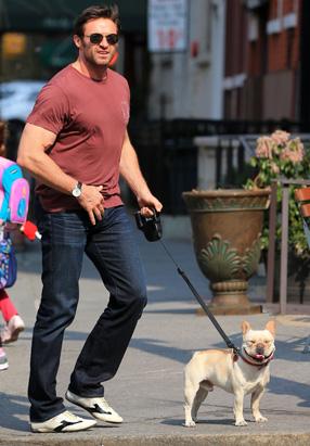 Wolverine's Smiling Dog