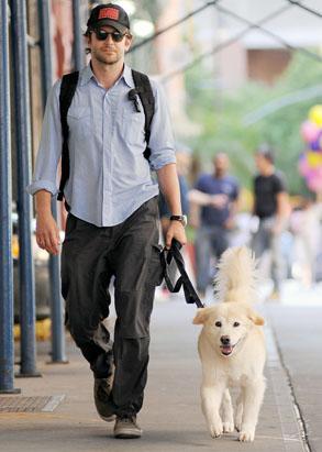 Ryan Gosling's Day With His Dog