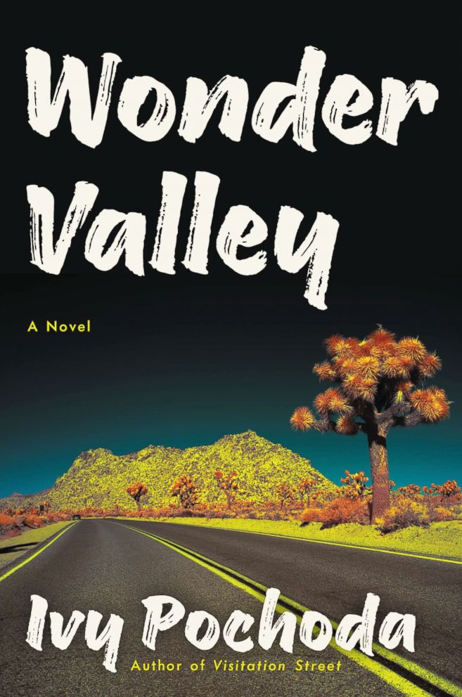 Wonder Valley by Ivy Pochoda