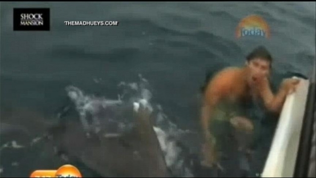 Shark Attack Video Near Miss Caught On Camera Video Abc News