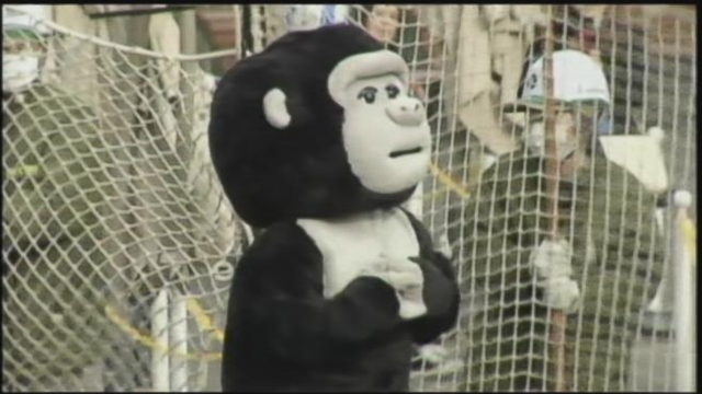 VIDEO: Zookeeper Dresses as a Gorilla