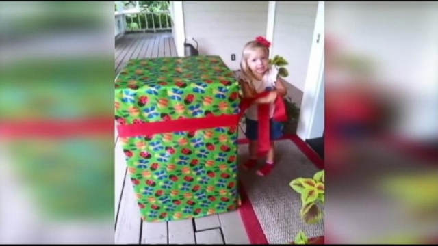 VIDEO: Soldier Dad Surprises Daughter in Birthday Box