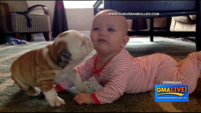 VIDEO: Baby Playing with Puppy May Be The Cutest Thing Online