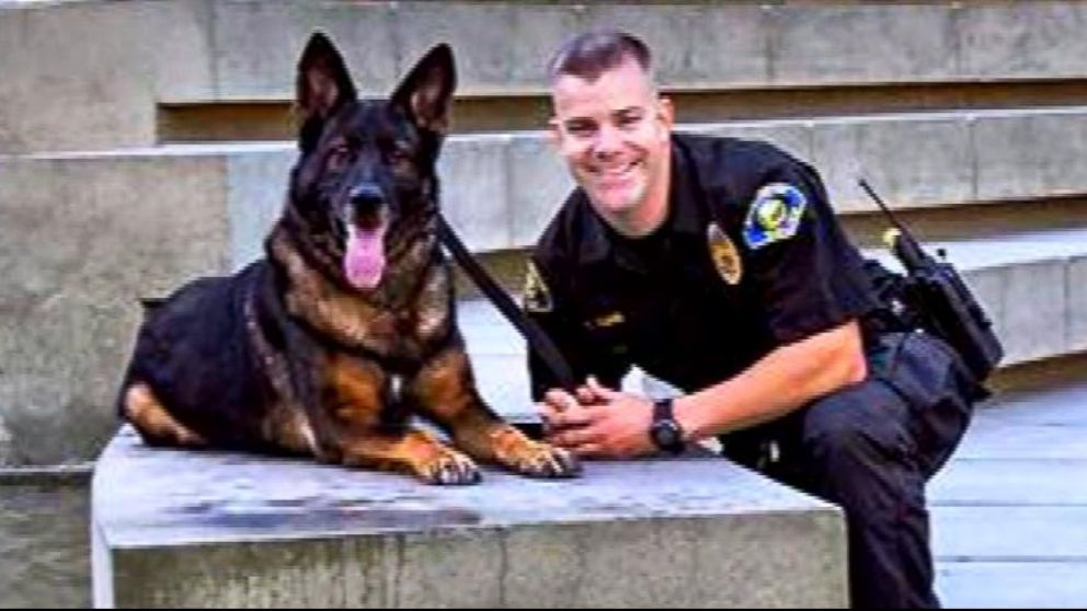 VIDEO: Bruno the German Shepard was shot in the face while chasing down a suspect.