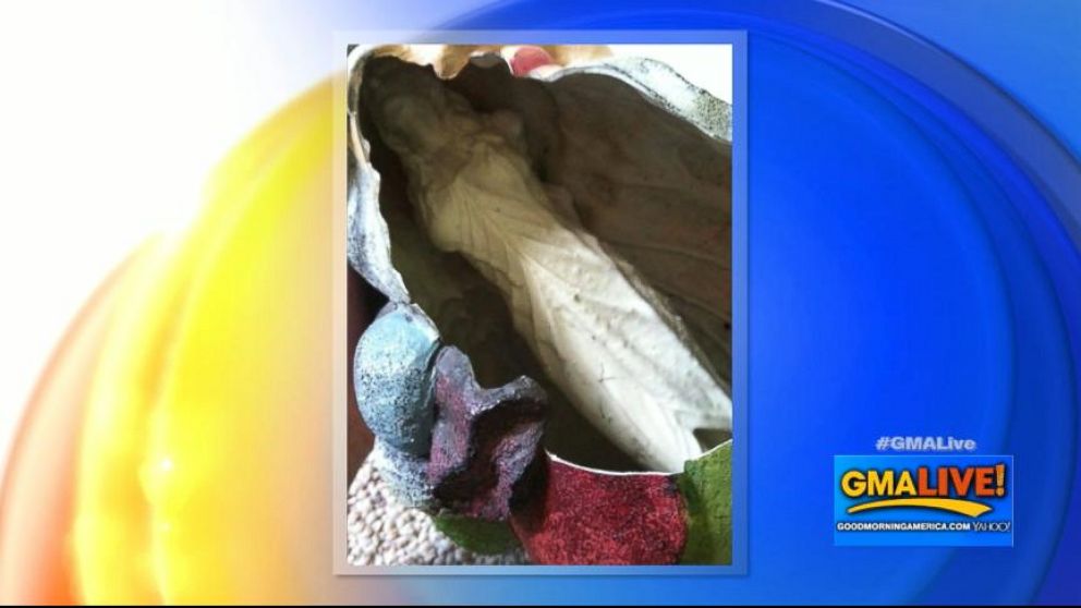 VIDEO: Shocking Discovery Inside Gnome Statue