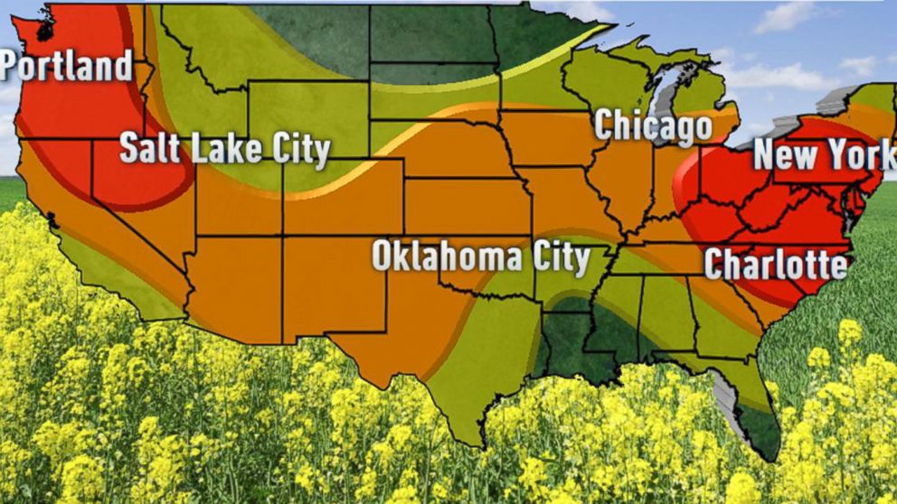 High Tree Pollen From MidAtlantic Through New York Video ABC News