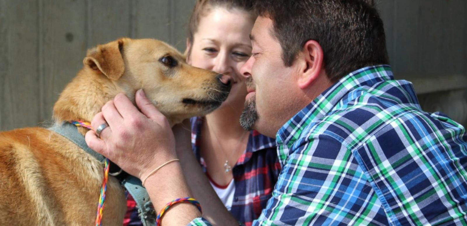 Missing Dog Reunited With Family After 2 Years Thanks to Chance