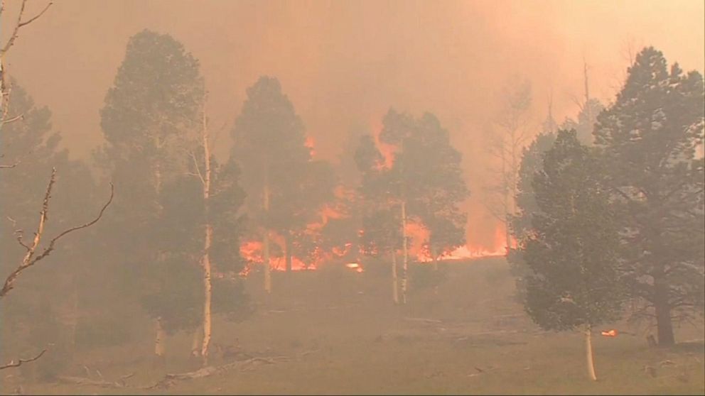 WATCH:  Record-high heat spawns wildfires across the West