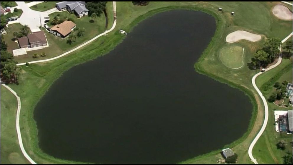 WATCH:  Man diving for golf balls attacked by alligator
