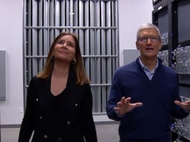 WATCH: 'We want to help America,' Apple CEO Tim Cook says