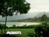 Video Sample