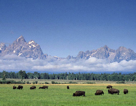 Grand Teton National Park