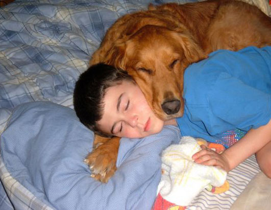 Service Dogs