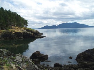 doe bay