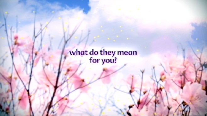 VIDEO: What do pollen counts mean to you?