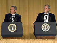 Bush