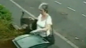 Woman Receives Death Threats After Dumping Cat in Trash