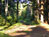 Weekend Window to Monhegan Island