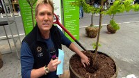 Just One Thing: April is MillionTreesNYC in New York