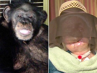 PHOTO Charla Nash, right, was attacked by her friend's 200-pound chimpanzee named Travis, shown left.