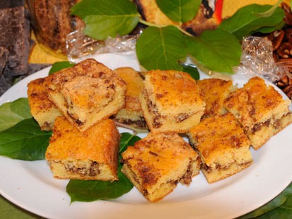 Nancy?s Cinnamon Swirl Coffee Cake