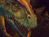 Dinosaurs